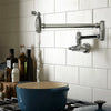 [D35402900.100] Traditional Kitchen Pot Filler - Polished Chrome