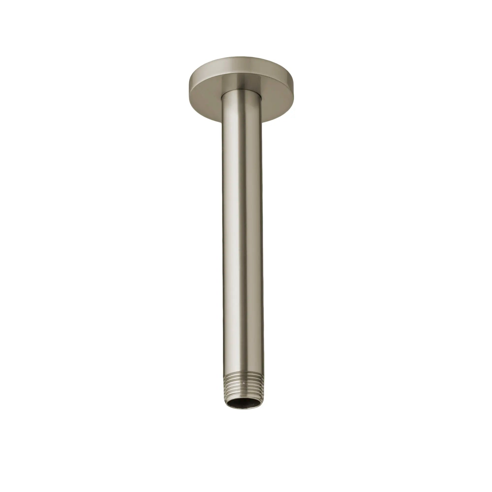 Bras de douche de 6 po installation au plafond // NICKEL BROSSÉ // 38295_P_D35702306144_CDNwebp.webp