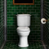 Oak Hill® Two-Piece Chair Height Elongated Toilet with Seat // CANVAS WHITE // 39799_D2203AA100415_CDNwebp.webp