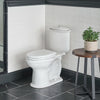 Oak Hill® Toilet Tank Only with Pull Knob // CANVAS WHITE // 84051_B-D2203AA100.415_1_CDNwebp.webp