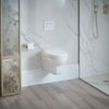 Belshire® Wall-Hung Elongated Toilet Bowl with Seat // CANVAS WHITE // 84167_B-D23050A000415_CDNwebp.webp