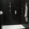 DXV® Modulus Personal Hand Shower Set with Adjustable 24 in. Slide Bar // PLATINUM NICKEL // 84860_B-D35120780150_CDNwebp.webp
