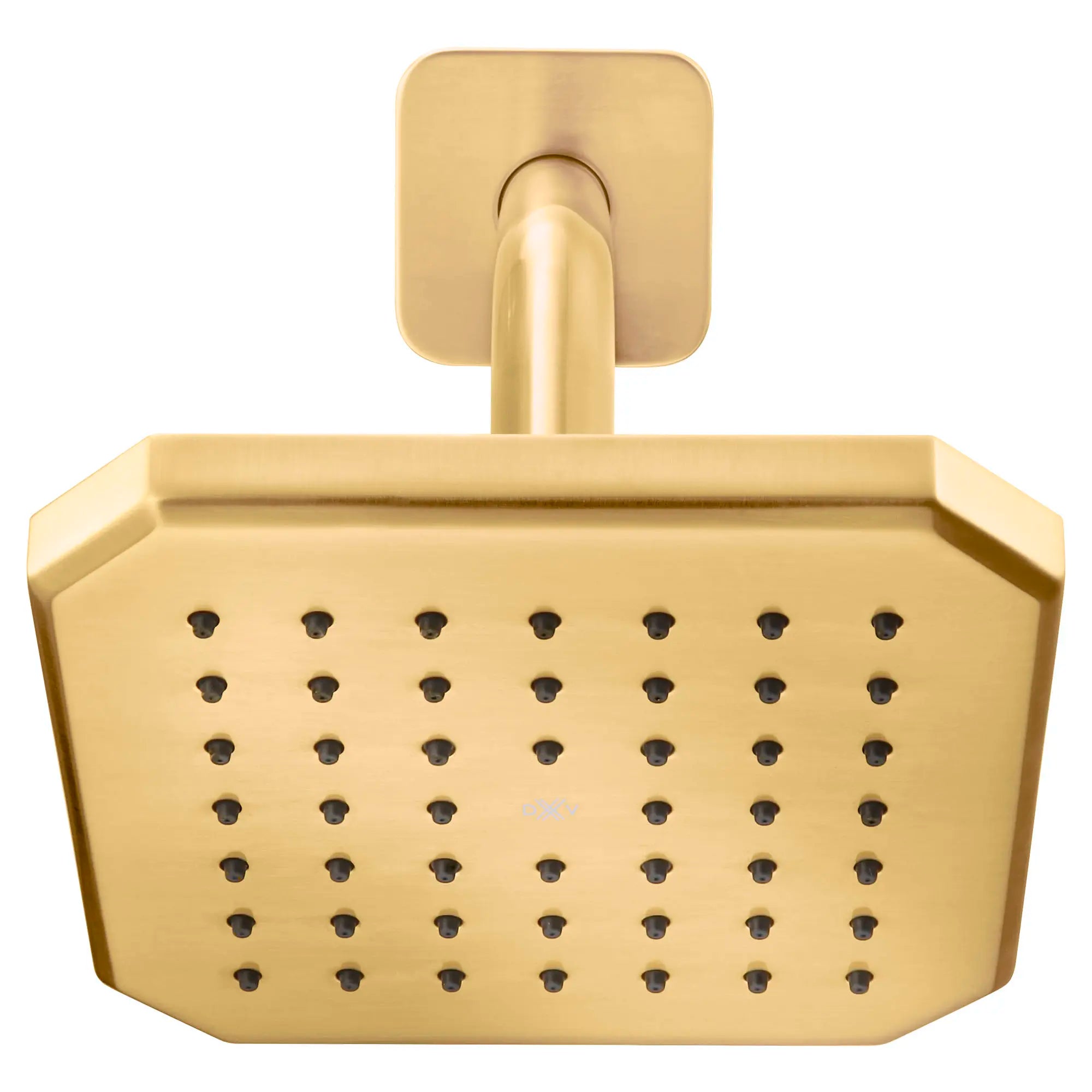 Pomme de douche de 6 po Belshire // SATIN BRASS // 96114_D35170106427_CDNwebp.webp
