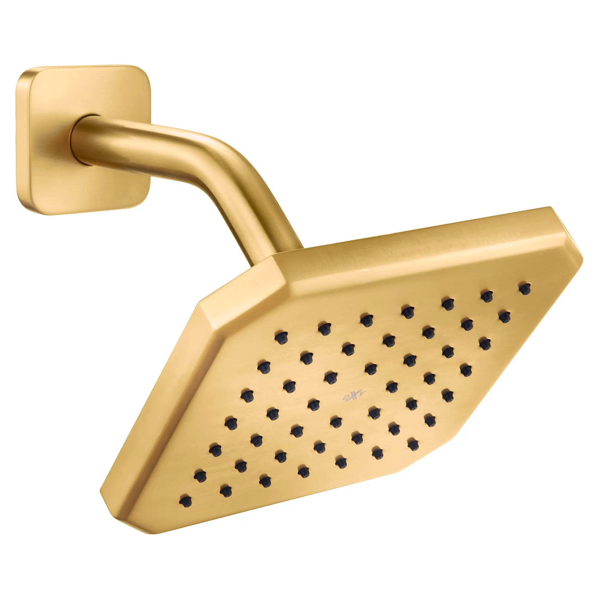 Pomme de douche de 6 po Belshire // SATIN BRASS // 96117_D35170106427_1_CDNwebp.webp