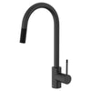 [D35404300.243] Etre® Single Handle Pull-Down Kitchen Faucet with Lever Handle - Polished Chrome